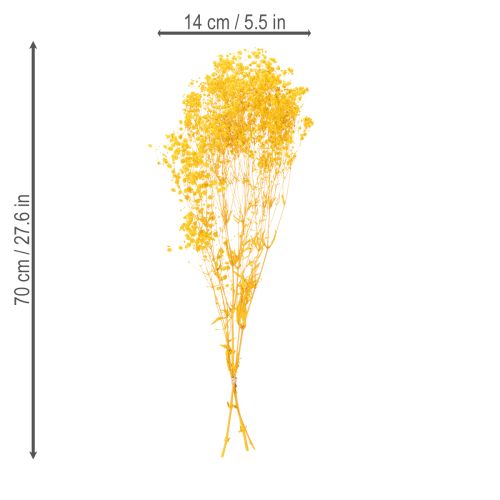 Article Bouquet de fleurs séchées avec gypsophile. Branches fleuries décoratives idéales pour la décoration de table saisonnière. 70 cm