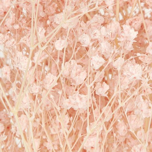 Article Décoration Gypsophile Herbes Séchées Orange Pêche 65-70cm 100g