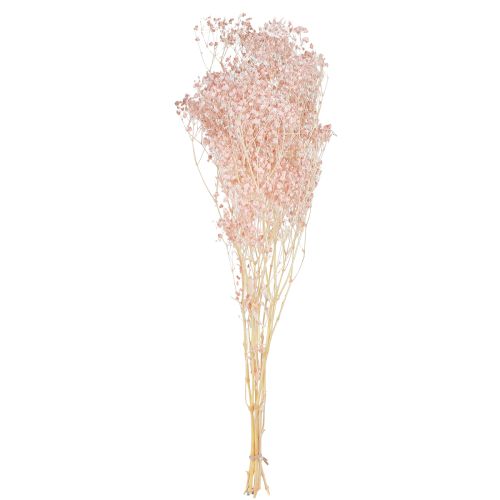 Article Décoration Gypsophile Herbes Séchées Orange Pêche 65-70cm 100g