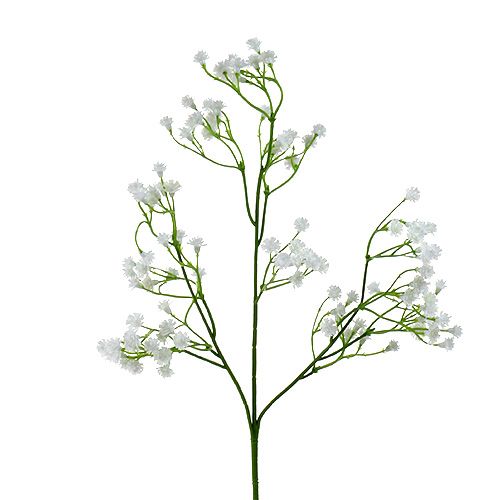 Floristik24 Gypsophile paniculée blanche 52 cm 6 p.