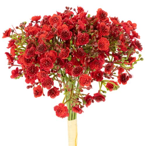 Bouquet de Gypsophiles Artificielles Rouges 30 cm x10 | Floristik24.fr