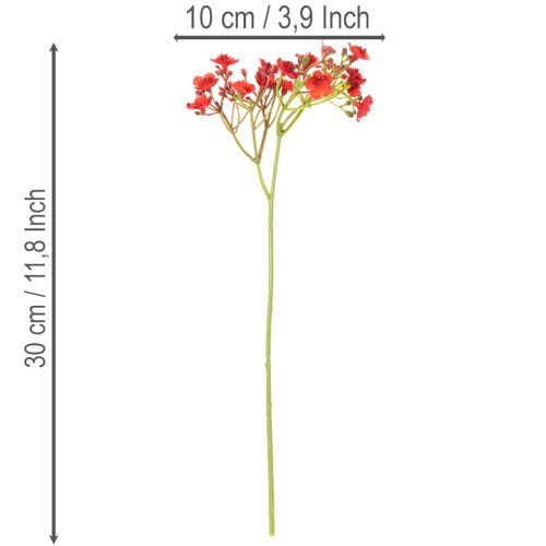 Bouquet de Gypsophiles Artificielles Rouges 30 cm x10 | Floristik24.fr