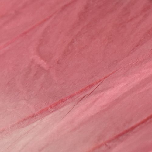 Article Grande décoration suspendue papillon, élégante décoration murale, 50 cm, 2 pièces