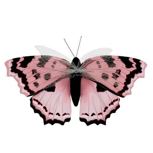 Floristik24 Papillon rose 20cm sur fil 2pcs
