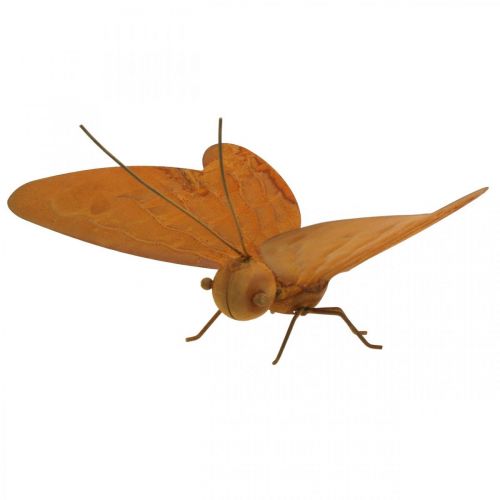 Floristik24 Figurine de jardin, papillon à poser, patine décoration métal L20cm L21cm