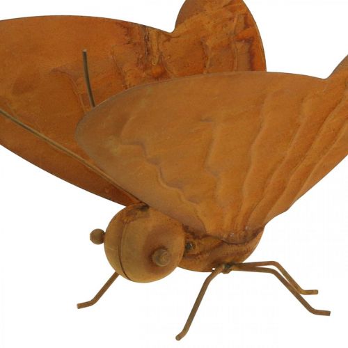 Floristik24 Figurine de jardin, papillon à poser, patine décoration métal L20cm L21cm