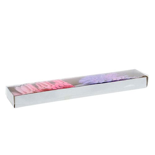 Floristik24 Papillon 5cm rose-mauve assort. 24P