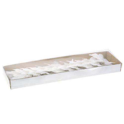 Floristik24 Plume papillon sur clip blanc 10 cm 12 pcs