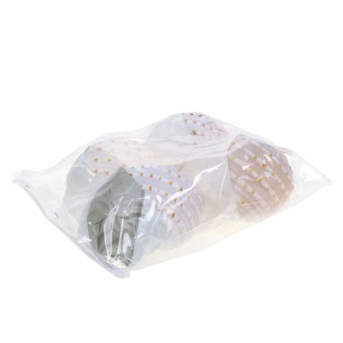 Floristik24 Coquille décorative escargot Tonna tessellata naturel 10-13cm 4 pcs