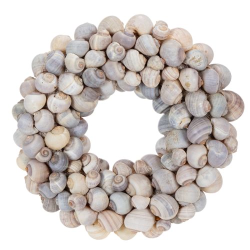 Floristik24 Couronne d'escargots à suspendre, couronne décorative, style marin, Nathai, Ø35cm