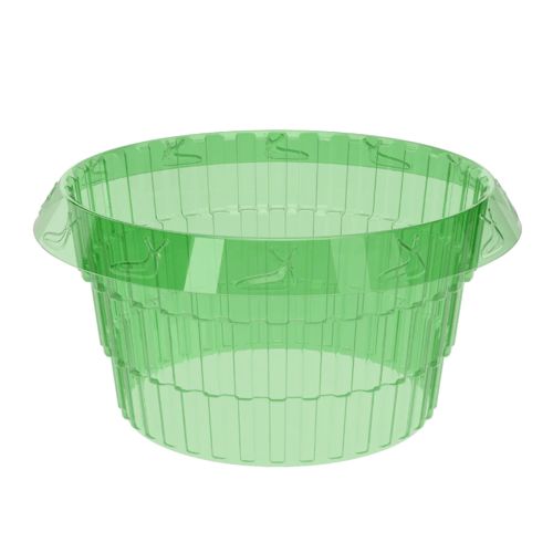 Lot de 12 collerettes anti-limaces en plastique recyclé certifié GRS, transparentes, diamètre 23 cm | Floristik24.fr