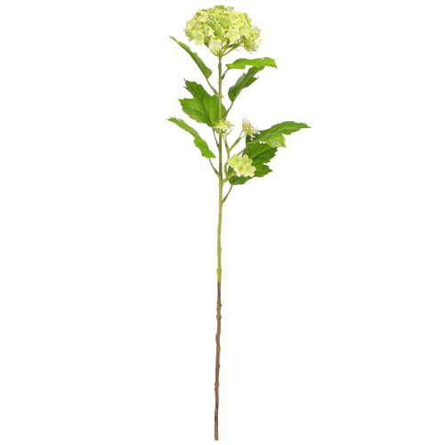 Article Boule de neige fleurs artificielles Viburnum artificiel vert 61cm 4 pcs