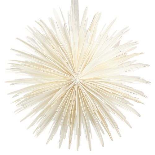 Article Papier flocon de neige à suspendre grande étoile blanc Ø50cm