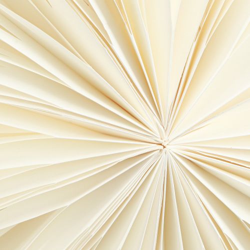 Article Papier flocon de neige à suspendre grande étoile blanc Ø50cm