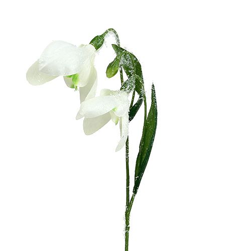 Floristik24 Perce-neige L48cm recouvert de neige