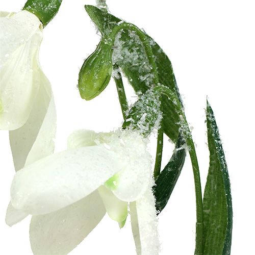 Floristik24 Perce-neige L48cm recouvert de neige