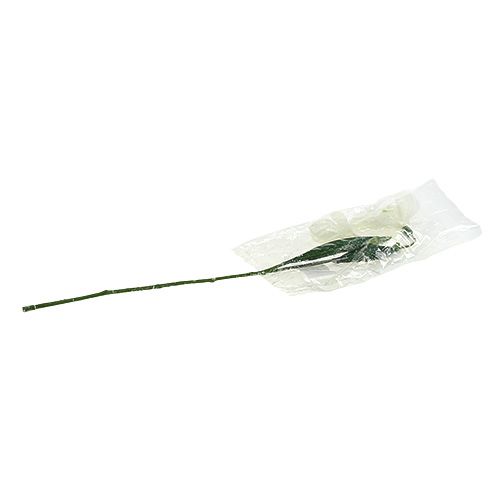 Floristik24 Perce-neige L48cm recouvert de neige