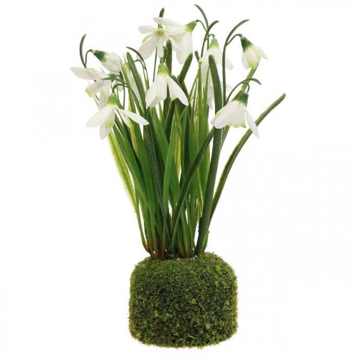 Floristik24 Perce-neige artificiel, fleur de perce-neige artificielle 25cm