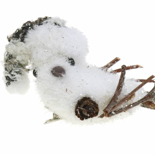 Floristik24 Oiseau des neiges sur pince 8cm x 6,5cm 6pcs