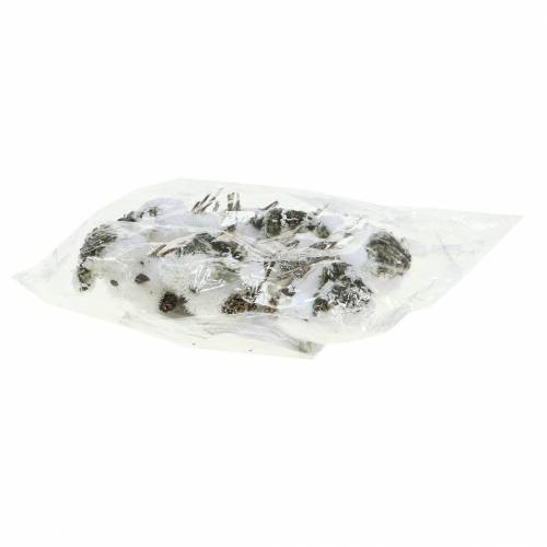 Floristik24 Oiseau des neiges sur pince 8cm x 6,5cm 6pcs