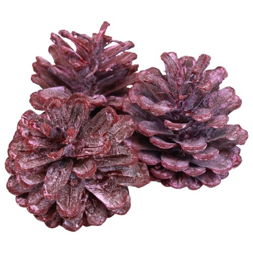 Floristik24 Pommes de pin noir Déco naturelle Rouge, blanchies 5-7cm 1kg