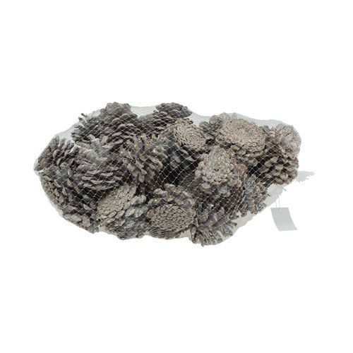 Article Pommes de pin noir 5-9cm Cônes blanchies 1kg