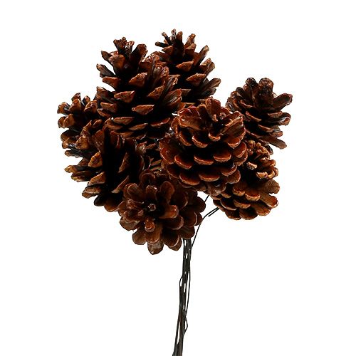 Floristik24 Pommes de pin noir cirées sur fil de fer 200 pièces