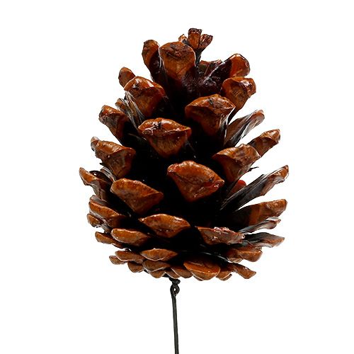 Article Pommes de pin noir cirées sur fil de fer 200 pièces