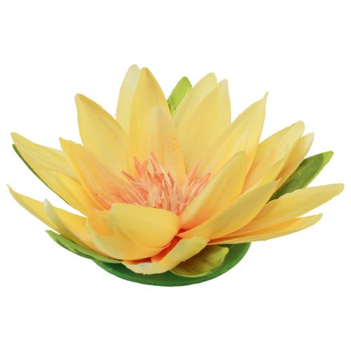 Floristik24 Nénuphar artificiel flottant décoration d&#39;été jaune Ø15cm 2pcs