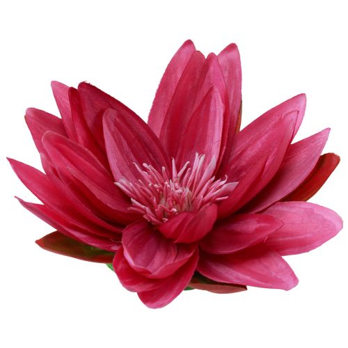 Floristik24 Nénuphar artificiel flottant décoration de table fuchsia Ø15cm