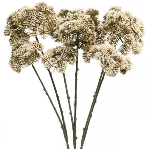 Floristik24 Sedum fleur artificielle sedum crème décoration florale automne 70cm 3pcs