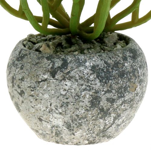 Floristik24 Plantes artificielles en pot Succulente Artificielle Verte H15cm