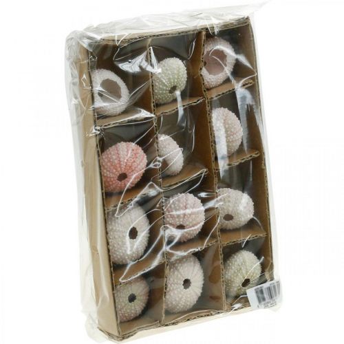 Floristik24 Décoration oursin maritime rose, blanc, vert décoration d'été 12 pcs