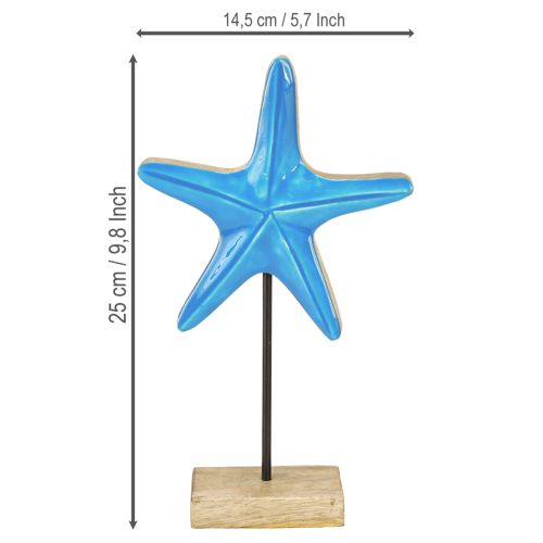 Article Décoration étoile de mer sur socle bois bleu naturel maritime H25cm