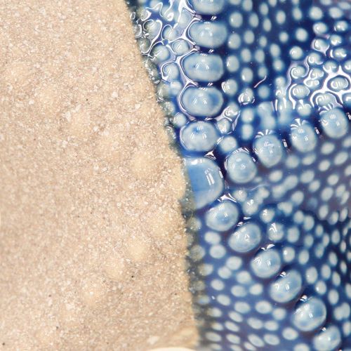 Article Étoile de mer Porcelaine Sable Bleu Décoration de Table Maritime Ø15cm 2pcs