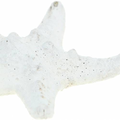 Article Boutons étoile de mer blanc 30pcs