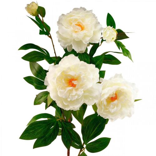 Floristik24.fr Fleur de soie pivoine artificielle blanc crème 135cm -  acheter pas cher en ligne