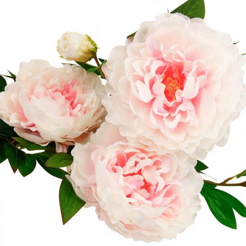 Article Fleur de pivoine artificielle en soie rose clair, blanc 135cm