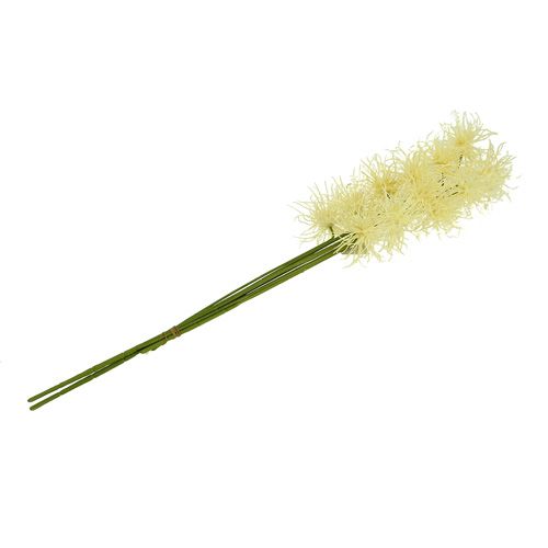 Floristik24 Fleurs de soie Xanthium crème 63 cm 4 p.