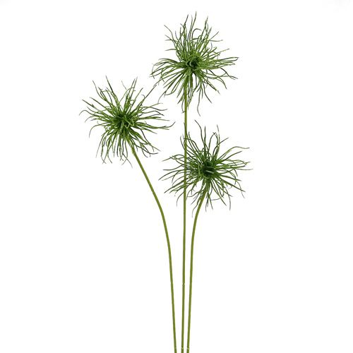 Floristik24 Fleurs de soie Xanthium vert 63 cm 4 p.
