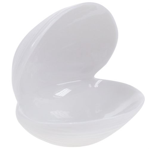 Floristik24 Porte-savon coquille 12cm x 10,5cm x 11cm blanc