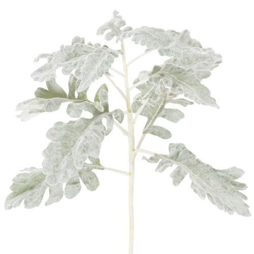 Branche Artificielle Senecio 45cm Argenté Lot de 3 | Floristik24.fr