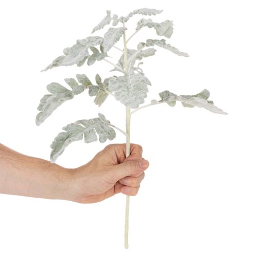Branche Artificielle Senecio 45cm Argenté Lot de 3 | Floristik24.fr