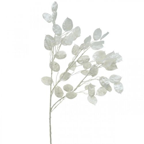 Floristik24 Branche décorative feuille d'argent branche Lunaria blanche branche artificielle 70cm