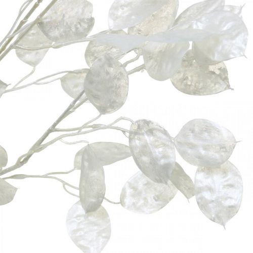 Floristik24 Branche décorative feuille d'argent branche Lunaria blanche branche artificielle 70cm