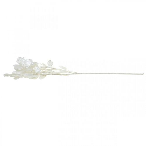 Floristik24 Branche décorative feuille d'argent branche Lunaria blanche branche artificielle 70cm