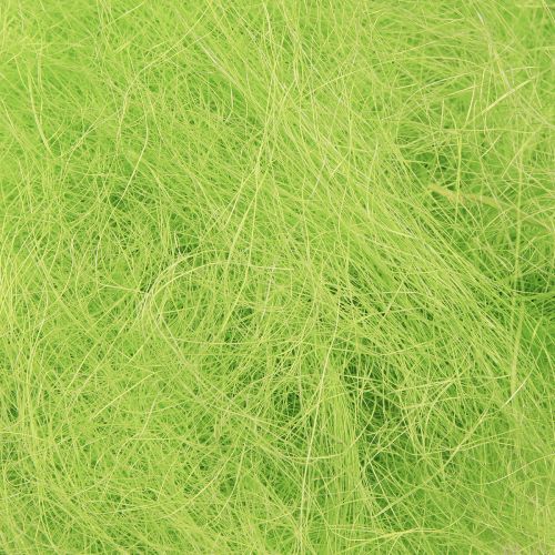 Floristik24 Herbe décorative sisal vert printemps 300g