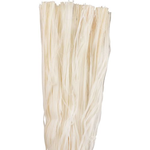 Floristik24 Ruban squelette en fibres naturelles végétales ruban naturel décoration 180g