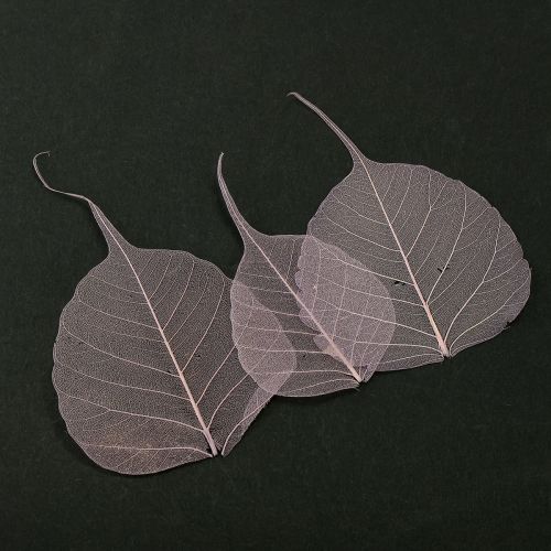 Floristik24 Feuilles squelettes Feuilles Bodhi squelettisées violettes 5-15 cm 200 pièces