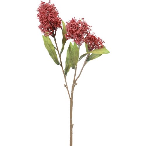 Skimmie Skimmia Japonica Fleurs Artificielles Bordeaux DryLook L59cm